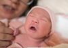 3 Signs of a Smart Newborn, Observable Right After Birth