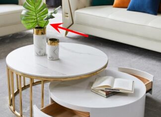The Magic Trio for Success: Adorn Your Coffee Table With These Three Items for a Prosperous Home