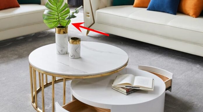 The Magic Trio for Success: Adorn Your Coffee Table With These Three Items for a Prosperous Home