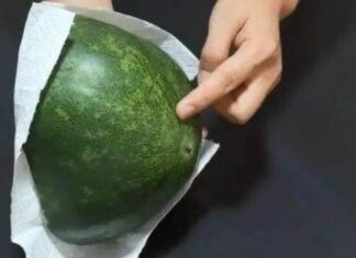 The Ultimate Guide to Storing Leftover Squash: Keep it Fresh for Weeks