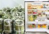 The Ultimate Guide to Giò Chả Storage: Beyond the Cooler, a Simple Step to Keep Them Fresh and Delicious for Longer