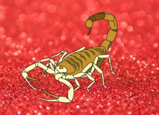 The Fruits of Your Labor: Meet the Astrological Trio Blessed With Wealth Despite Adversity