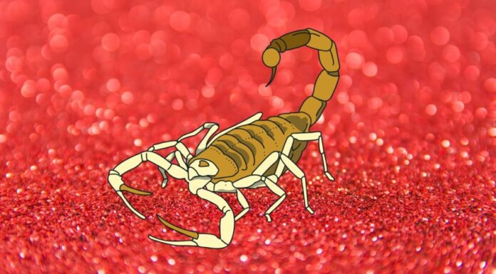 The Fruits of Your Labor: Meet the Astrological Trio Blessed With Wealth Despite Adversity