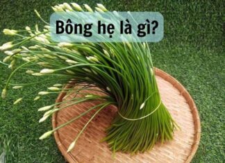 The Ultimate Superfood: Nature’s Bounty at its Best.