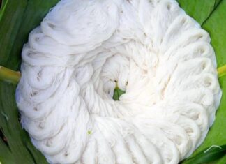 The Ultimate Guide to Buying Delicious Noodle: Four Easy Tips to Avoid Harmful Additives