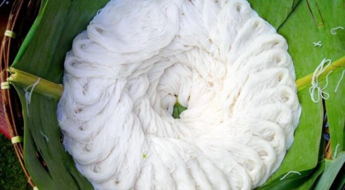 The Ultimate Guide to Buying Delicious Noodle: Four Easy Tips to Avoid Harmful Additives