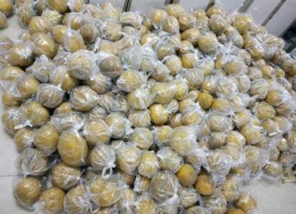 The Art of Preserving the Delicious Diën Pomelo