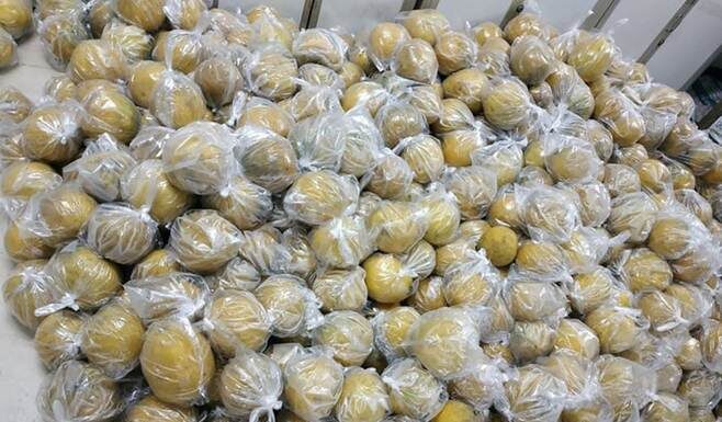 The Art of Preserving the Delicious Diën Pomelo