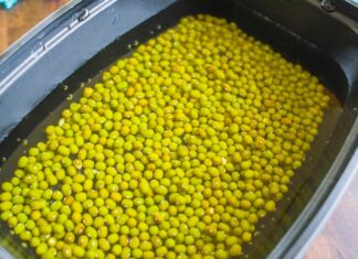 “The Ultimate Guide to Growing Your Own Bean Sprouts: Delicious, Healthy, and Free from Harmful Chemicals”