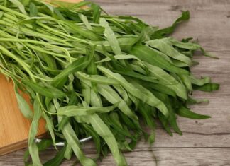 The Secret to Perfectly Cooked Water Spinach: A Crisp, Green Delight