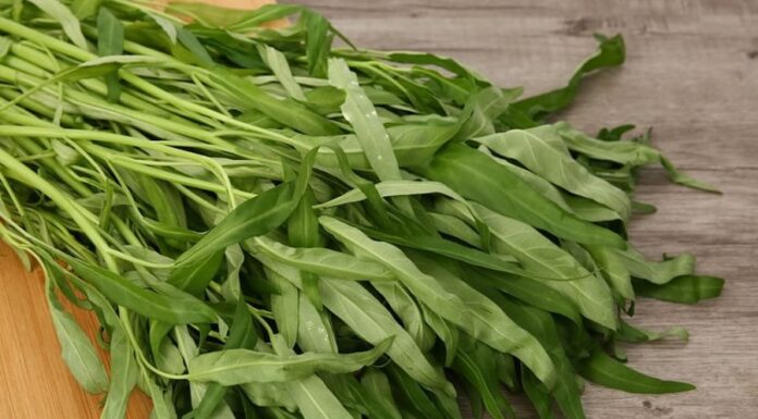 The Secret to Perfectly Cooked Water Spinach: A Crisp, Green Delight