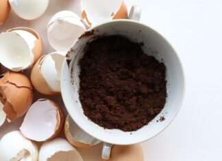 The Surprising Uses of Eggshells: Unveiling the Unexpected Benefits