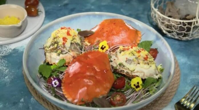 The Ultimate Guide to Sexing Crabs: Unlocking the Secrets to Distinguishing Male and Female Crabs with Ease