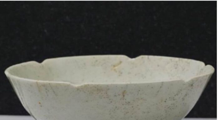 The Year-End Clean Out: Toss Out These Old-School Items, Especially the Ones Harming Your Health