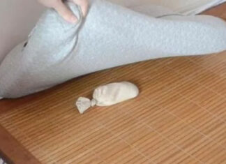 The Ancient Practice of Placing Rice Under a Pillow: Unveiling the Intriguing Tradition