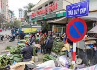 The Heart of Hanoi: A Bustling Old Market with a Single, Thriving Offering that Draws Crowds During Tet