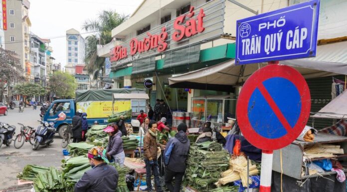 The Heart of Hanoi: A Bustling Old Market with a Single, Thriving Offering that Draws Crowds During Tet