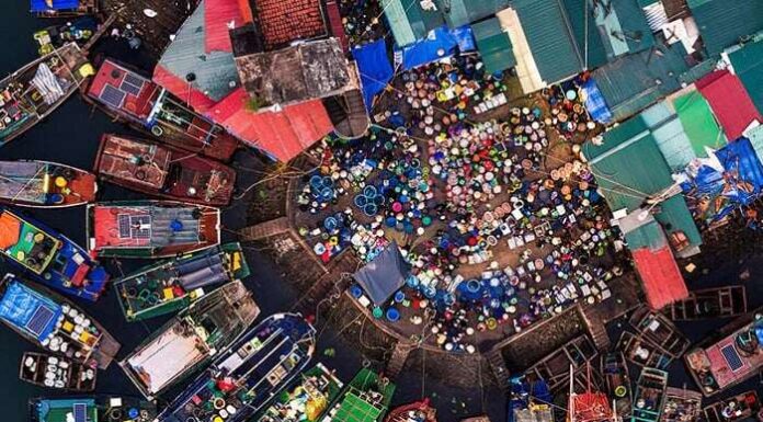 The Heart of Ha Long’s Seafood Delights: A Night-Time Market Adventure