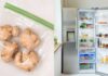 The Ultimate Guide to Ginger Storage: 7 Ways to Keep Your Ginger Fresh All Year Long