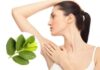 The Ultimate Guide to Underarm Odor: Eradicate Embarrassing Scent with a Simple Guava Leaf Remedy