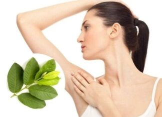 The Ultimate Guide to Underarm Odor: Eradicate Embarrassing Scent with a Simple Guava Leaf Remedy
