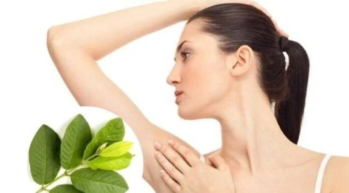 The Ultimate Guide to Underarm Odor: Eradicate Embarrassing Scent with a Simple Guava Leaf Remedy