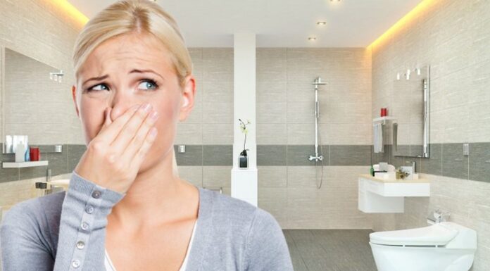 The Ultimate Guide to Eliminating Bathroom Odors: Quick, Easy, and Effective Solutions