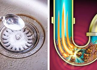 The Magic of a Cup of Salt: Unclog Your Drains with This Simple Hack