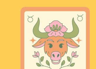 Unlocking Celestial Luck: Divine Numbers for the 12 Zodiac Signs on February 19th