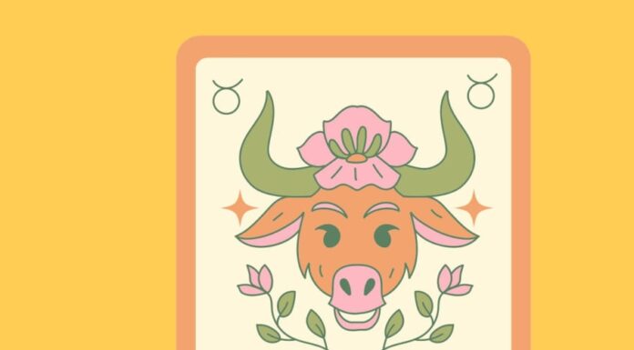 Unlocking Celestial Luck: Divine Numbers for the 12 Zodiac Signs on February 19th