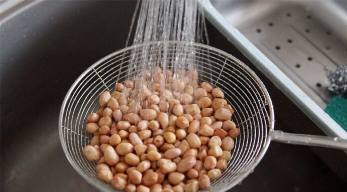 “The Great Salted Peanut Debate: To Fry or Not to Fry?”