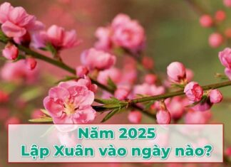 The First Solar Term of the Year: 3 Things to Remove from Your Altar ASAP to Avoid Financial and Spiritual Pitfalls