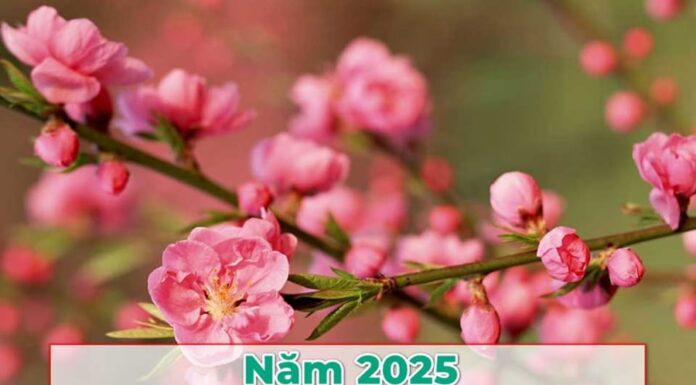 The First Solar Term of the Year: 3 Things to Remove from Your Altar ASAP to Avoid Financial and Spiritual Pitfalls