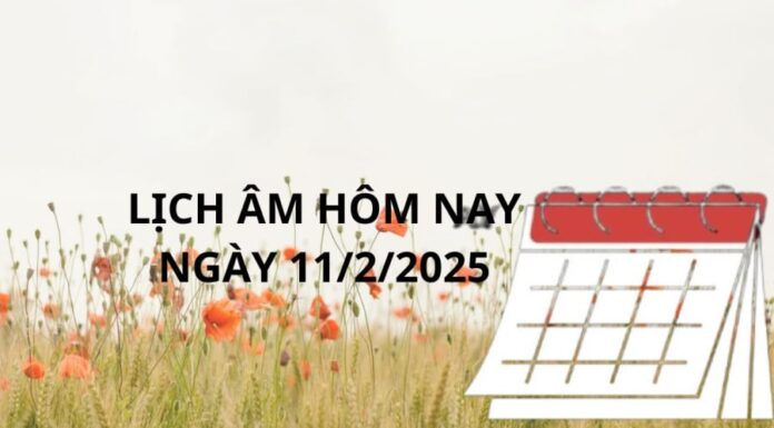 The Perfect Day: November 11th – A Fortunate Date for Success and Prosperity