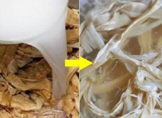 The Ultimate Guide to Soaking Dried Bamboo Shoots: A Magic Liquid for Tender, Bright, and Crisp Results