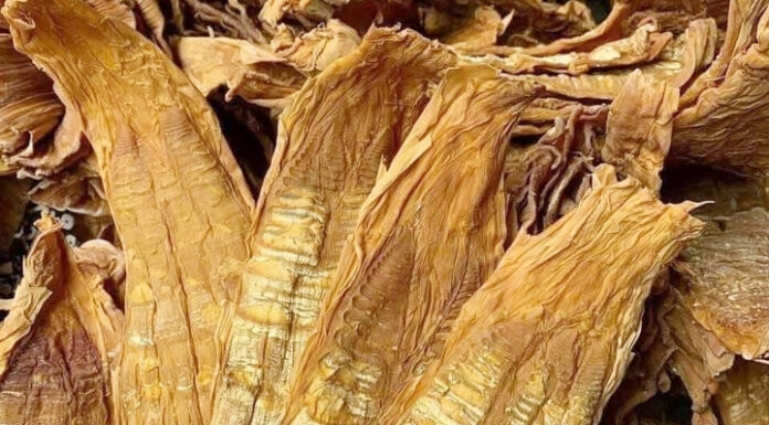 How to Choose the Best Dried Bamboo Shoots for a Healthy Lunar New Year Feast