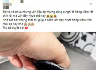 The Easy-Peasy Fruit Fiasco: A Tale of Misguided Juicing Enthusiasm