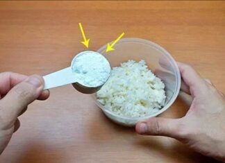 The Ultimate Cockroach Repellent: A Simple Solution to Keep Your Home Pest-Free