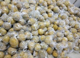 The Art of Preserving the Famous Dien Pomelo