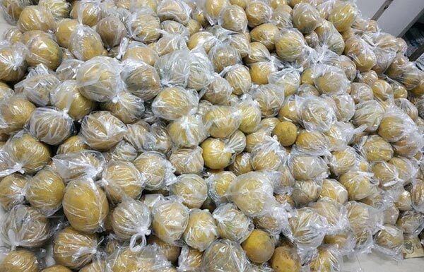 The Art of Preserving the Famous Dien Pomelo