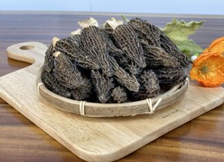 The Ugly Delicacy: An Expensive Treat that has the Elite Forking Out