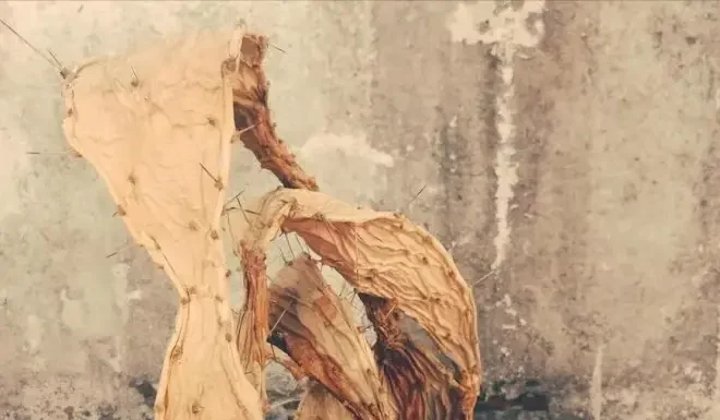 The Year of the Dragon: 4 Things You Should Never Throw Away for Abundant Wealth in the Year of the Snake