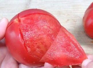 The Perfect Tomato and Egg Soup: A Culinary Cloud Creation