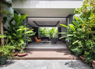 3 Plants That Bring Bad Luck When Planted in Front of the House: Uncover the Plants and Where to Plant Them Instead for a Fortune of Abundance.