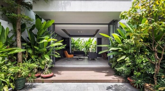 3 Plants That Bring Bad Luck When Planted in Front of the House: Uncover the Plants and Where to Plant Them Instead for a Fortune of Abundance.