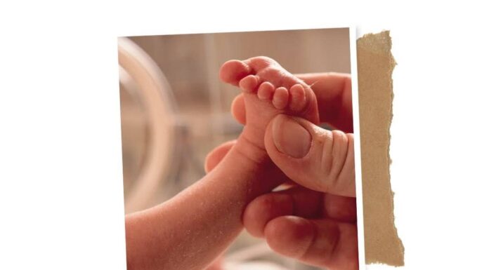 The Unborn Baby’s Early “Diet” of Plastics: Experts Warn of Hidden Dangers