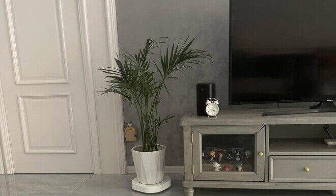 The Eight ‘No’s’ Rule for Buying a Vacuum Robot