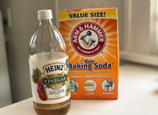 9 Easy DIY Tips to Unclog Your Drains