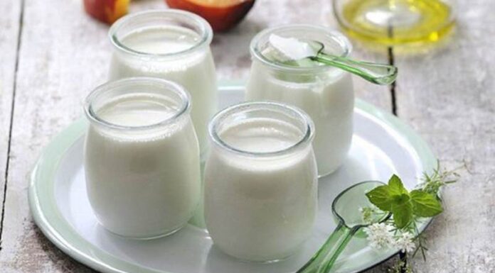 The Ultimate Guide to Storing Yogurt: A Step-by-Step to Perfect Preservation