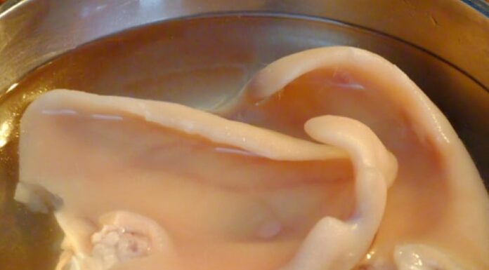 The Ultimate Guide to Crispy, Delicious Pork Ear: A Tasty Treat